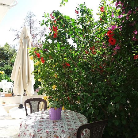 Cizmeci Apart Hotel Çeşme Exteriér fotografie